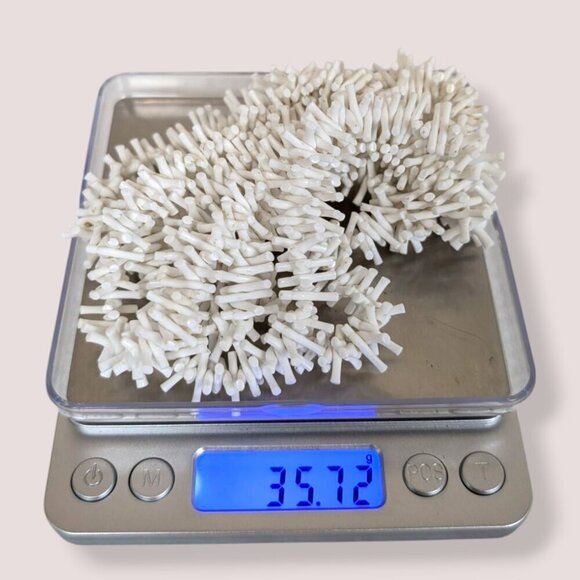 V. Long Stick Coral Necklace - Picture 5 of 5